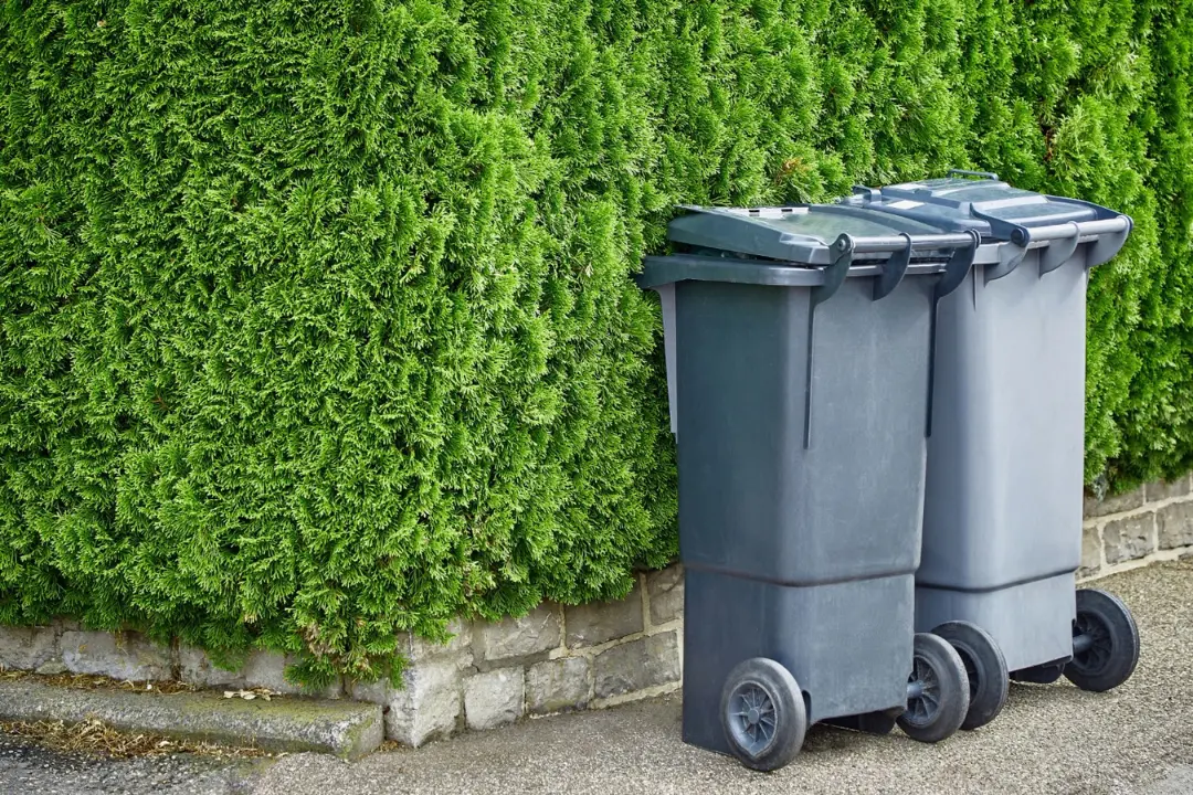 Plastic rubbish bin with wheels beside a green hedge